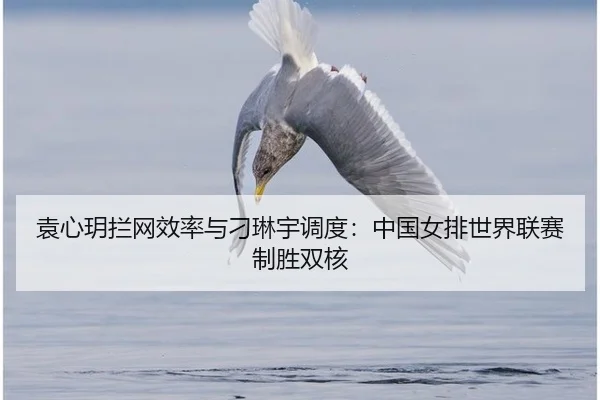 yuan-xin-yue-lan-wang-xiao-lv-yu-diao-lin-yu-diao-du-zhong-guo-nv-pai-shi-jie-lian-sai-zhi-sheng-shuang-he-2-660.jpg