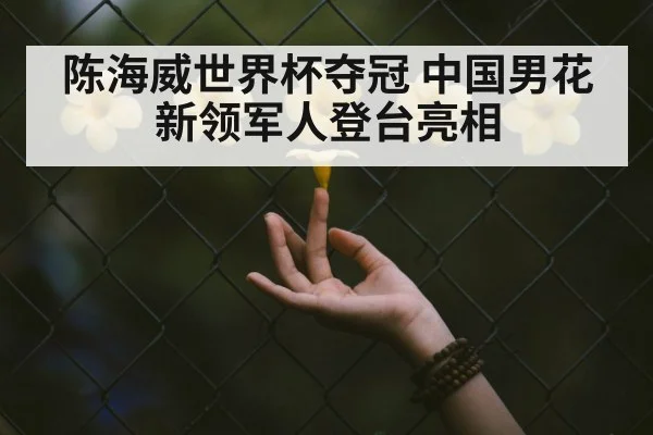 陈海威世界杯夺冠 中国男花新领军人登台亮相